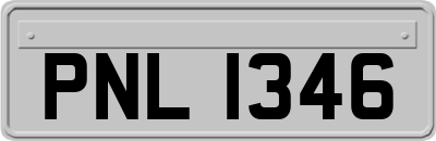 PNL1346