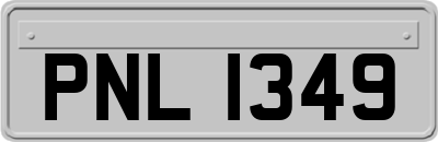 PNL1349