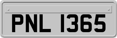 PNL1365