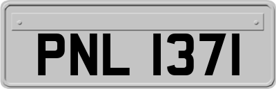 PNL1371