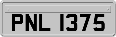 PNL1375