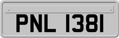 PNL1381