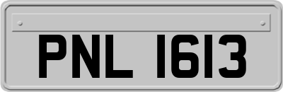 PNL1613