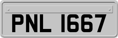 PNL1667