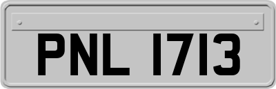 PNL1713