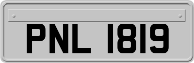 PNL1819
