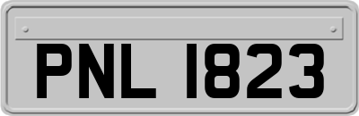PNL1823