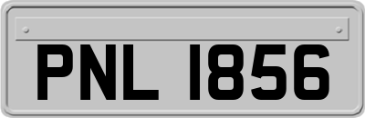PNL1856