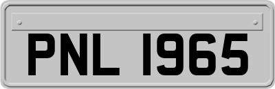 PNL1965