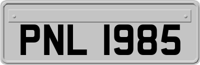 PNL1985