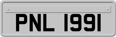 PNL1991