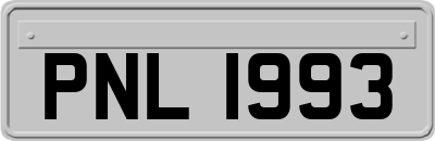 PNL1993