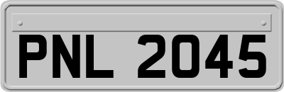 PNL2045
