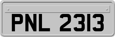 PNL2313
