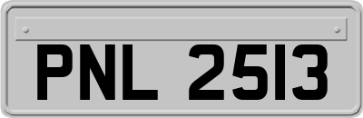 PNL2513