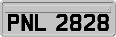 PNL2828