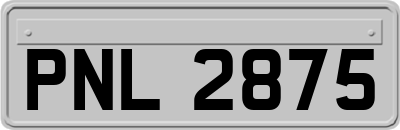 PNL2875