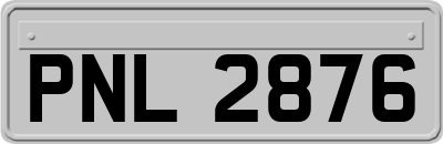 PNL2876