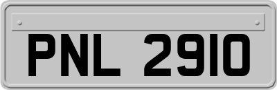 PNL2910