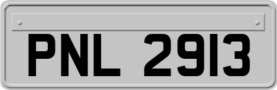 PNL2913