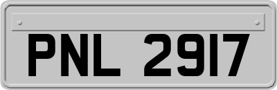 PNL2917