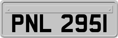 PNL2951
