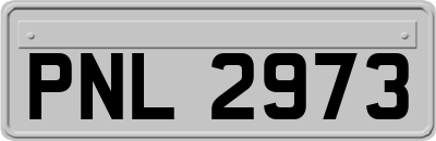 PNL2973
