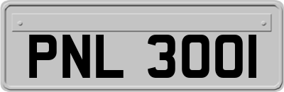 PNL3001