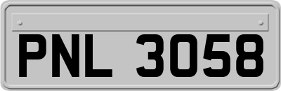 PNL3058
