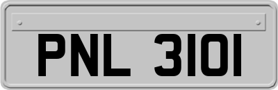 PNL3101