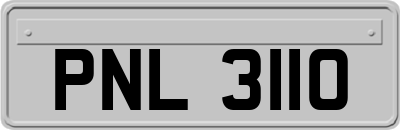 PNL3110