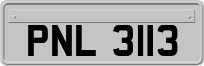 PNL3113