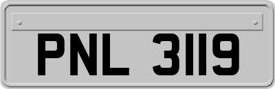 PNL3119