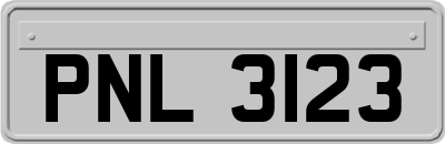 PNL3123