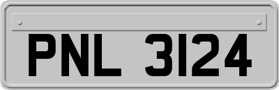 PNL3124