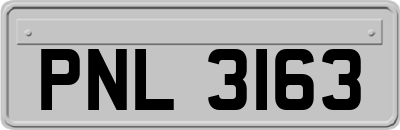 PNL3163