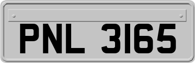 PNL3165