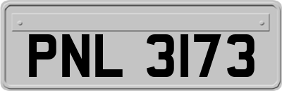PNL3173