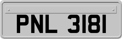 PNL3181
