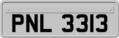 PNL3313