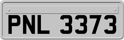 PNL3373