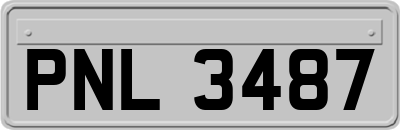 PNL3487