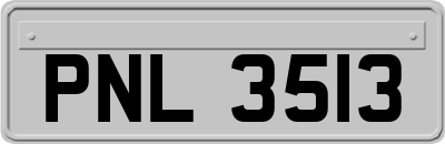 PNL3513