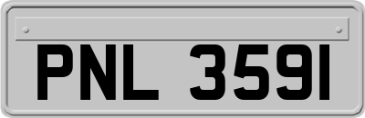 PNL3591