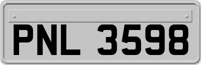 PNL3598