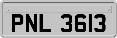 PNL3613