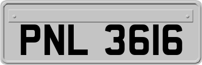 PNL3616