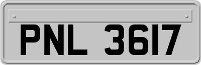 PNL3617
