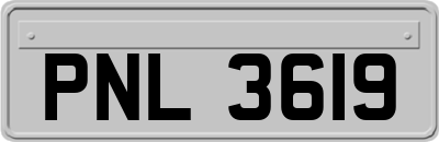 PNL3619
