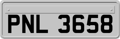 PNL3658